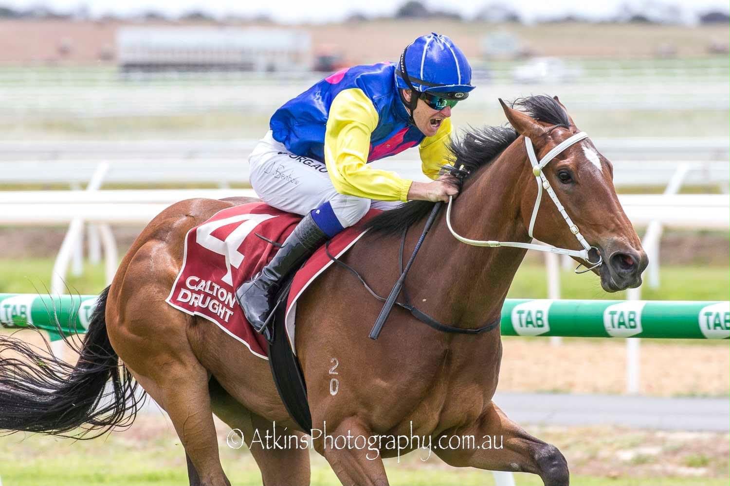 Jockey driving a chestnut racehorse to the line in a tight finish