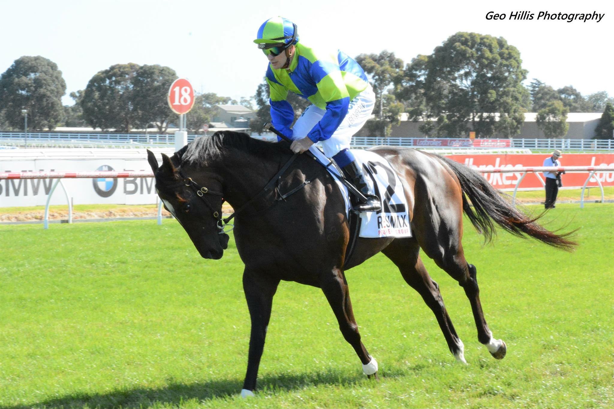 Jockey and racehorse cantering back after a race