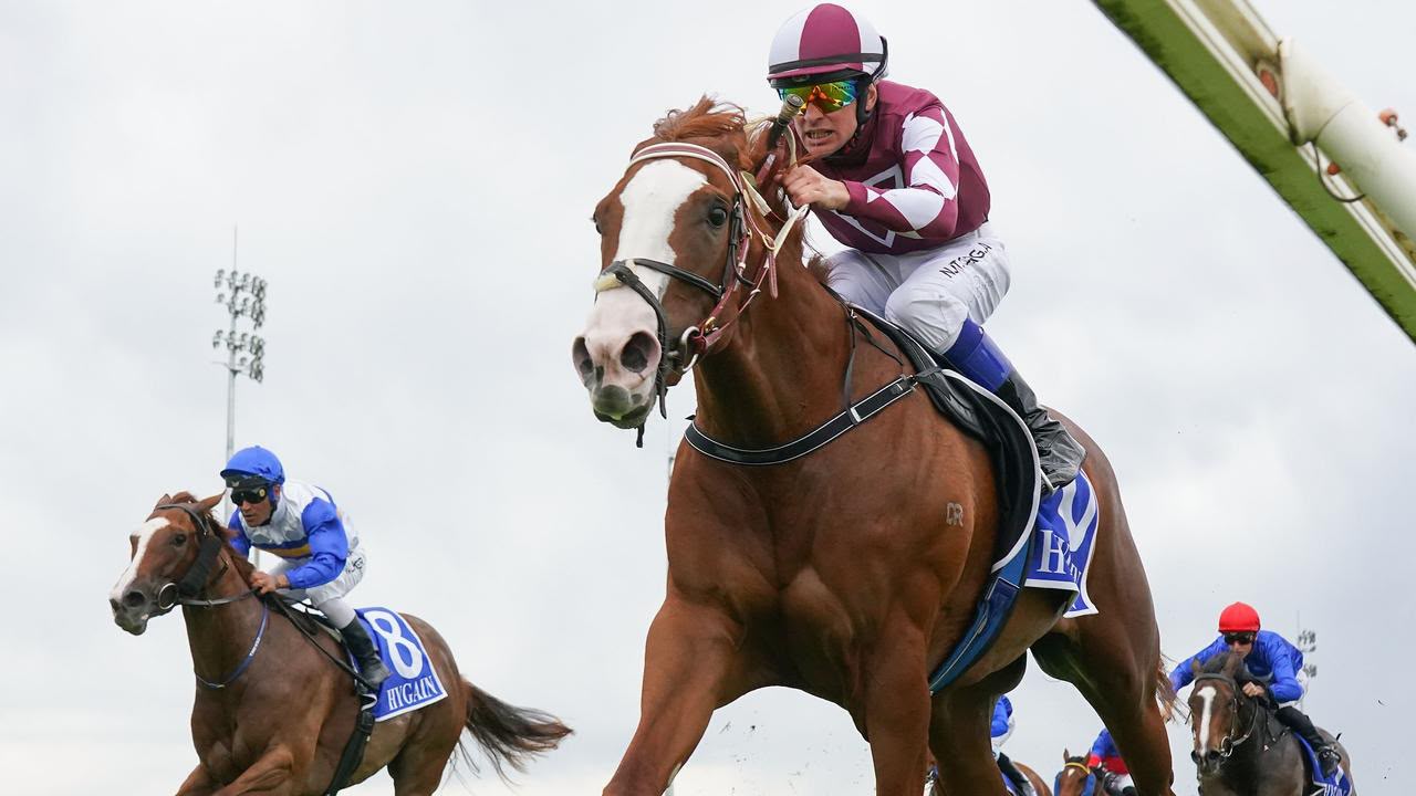 A pack of racehorses in close contention mid-race