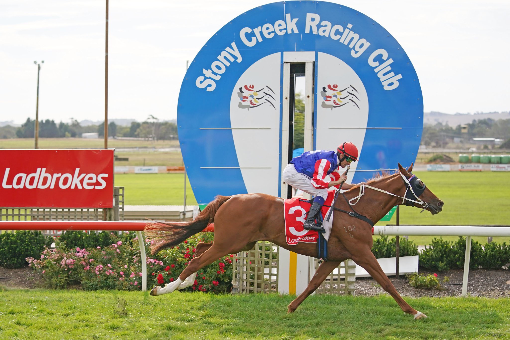 Racehorse crossing the line in front of the Stony Creek Racing Club sign