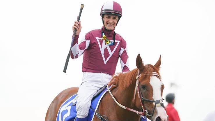 Jockey in winning silks celebrating aboard a racehorse